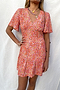 Peony Mini Clover Dress