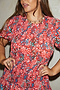 Scarlett Dress - Curve