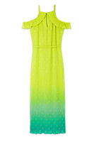 Thumbnail for Lime Ombre Plisse Claudia Dress