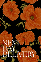 Thumbnail for UK Next Day Delivery for 1 Year