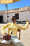 Yellow Zizi Cardigan