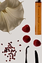 NFD Eau De Parfum 002 - 10ml