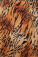 Thumbnail for Animal Sheer Maxi Skirt