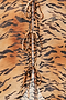Animal Cali Top