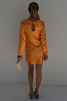 Thumbnail for Apricot Palm Mini Soho Dress  Petite