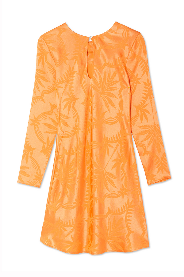 Apricot petite dresses deals