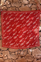 Thumbnail for Red Marina Fish Bandana