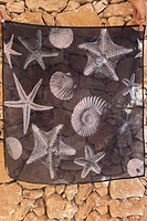Thumbnail for Black Shell Bandana