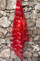 Thumbnail for Red Marina Fish Bandana