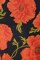 Thumbnail for Black Poppy Aria Mesh Dress