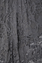 Charcoal Lace Trousers Petite