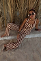 Chocolate Stripe Trousers
