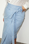 Denim Jaspre Skirt