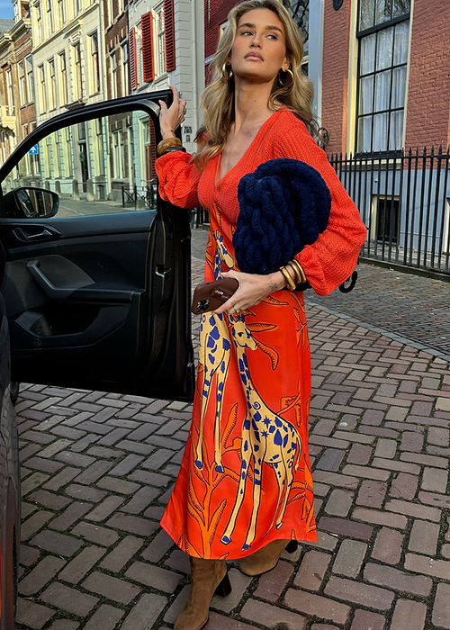 Giraffe Emma Dress
