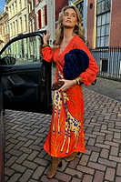 Thumbnail for Giraffe Emma Dress Petite