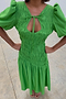 Green Shirred Nara Dress