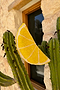 Lemon Beaded Bag