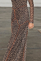 Leopard Cleo Mesh Dress