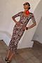 Leopard Iris Dress