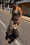 Leopard Lace Patti Dress