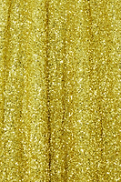 Thumbnail for Lime Sequin Dorris Skirt