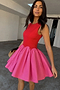 Red and Pink Mini Monika Dress Petite