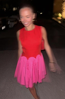 Thumbnail for Red and Pink Mini Monika Dress Petite
