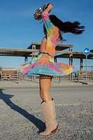 Thumbnail for Rainbow Ombre Nieve Mini Dress