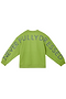 Olive and Charcoal NFD Sweatshirt