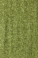 Thumbnail for Olive Sequin Jaspre Skirt