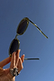 Olive Oval Sunglasses