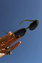Olive Oval Sunglasses