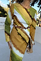 Green Ombre Alba Dress