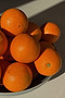 Orange T Shirt