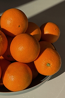 Thumbnail for Orange T Shirt