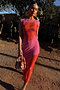 Pink Poppy Sleeveless Mesh Dress