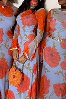 Thumbnail for Blue Poppy Aria Mesh Dress