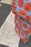 Thumbnail for Poppy Gift Bag