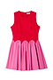 Red and Pink Mini Monika Dress Petite