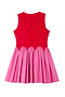 Red and Pink Mini Monika Dress Petite