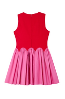 Thumbnail for Red and Pink Mini Monika Dress Petite