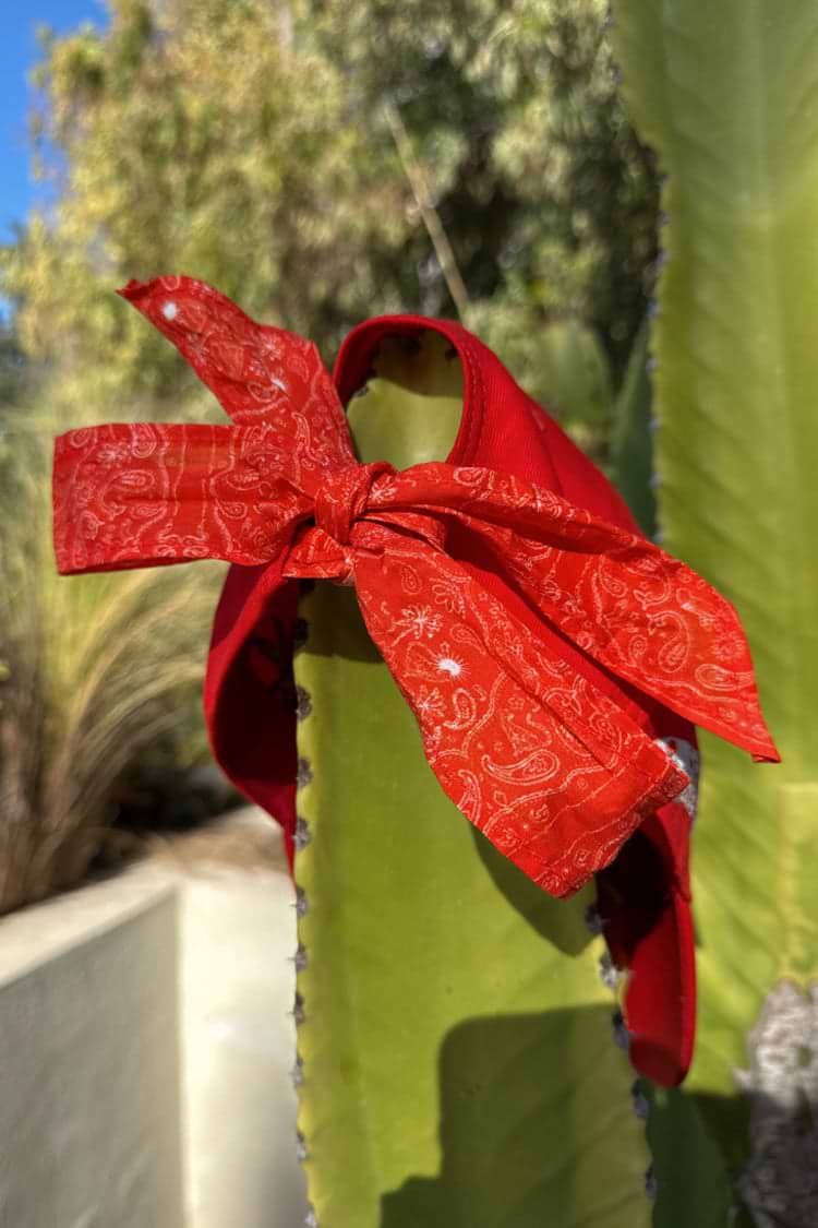 Tomato Bandana Cap