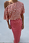 Pink and Red Jacquard Tilly Dress Petite