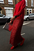 Thumbnail for Red Sequin Dorris Skirt
