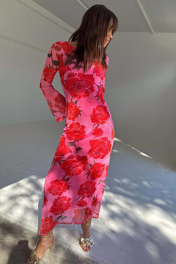 Rosa Aria Dress – Never Fully Dressed