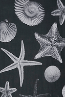 Thumbnail for Black Shell Jem Dress