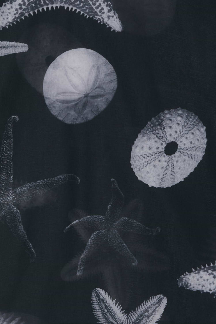 Black Seashell Mesh T Shirt