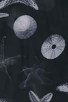 Thumbnail for Black Seashell Mesh T Shirt