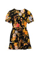 Thumbnail for Black Sofia Mini Tea Dress