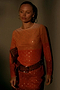Orange Sunset Mesh Dress Petite